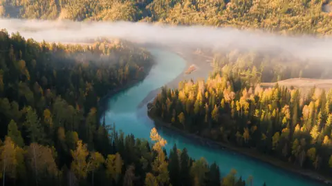 Slow aerial glide over a winding turquoise river through autumn forests, morning fog drifting, golden sunlight